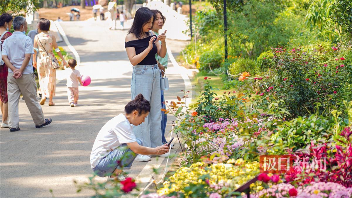 启航娱乐注册入口